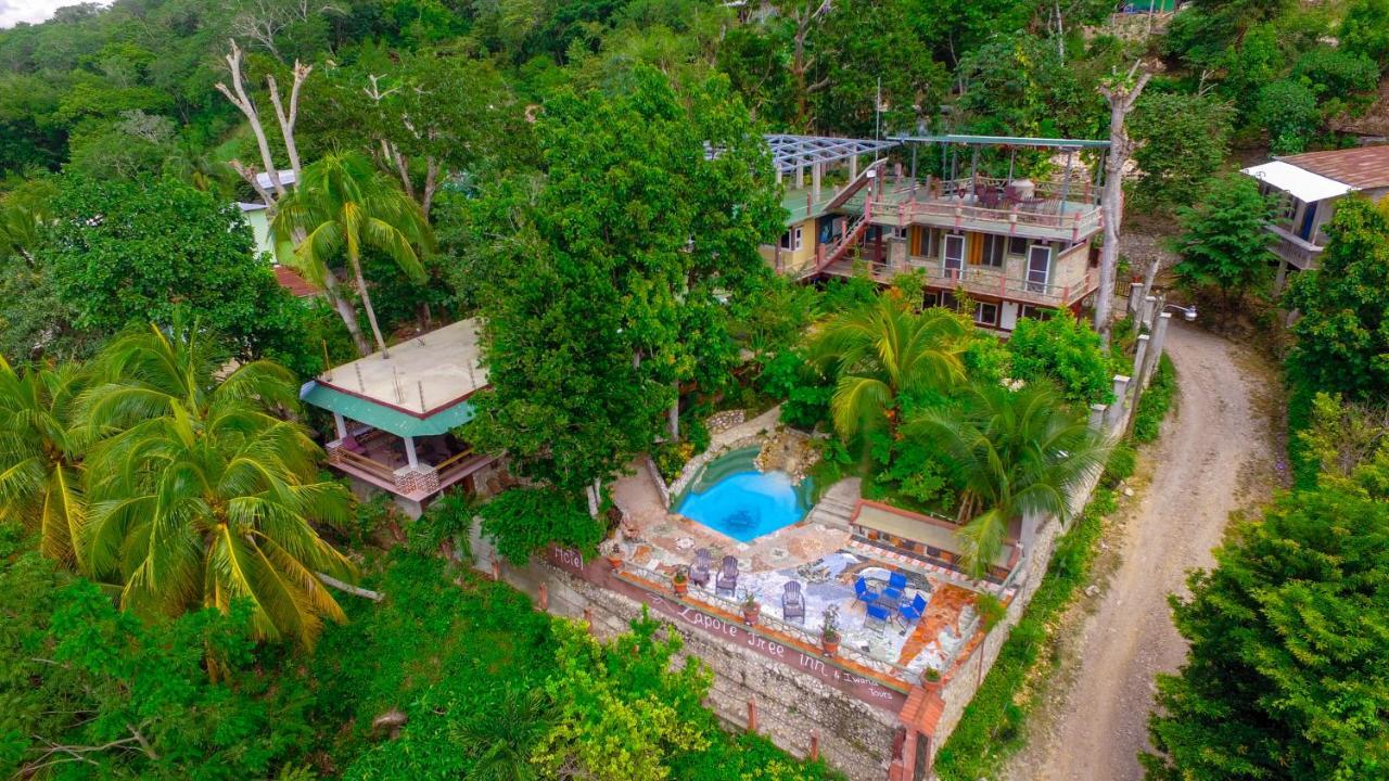 Zapote Tree Inn Flores Eksteriør bilde